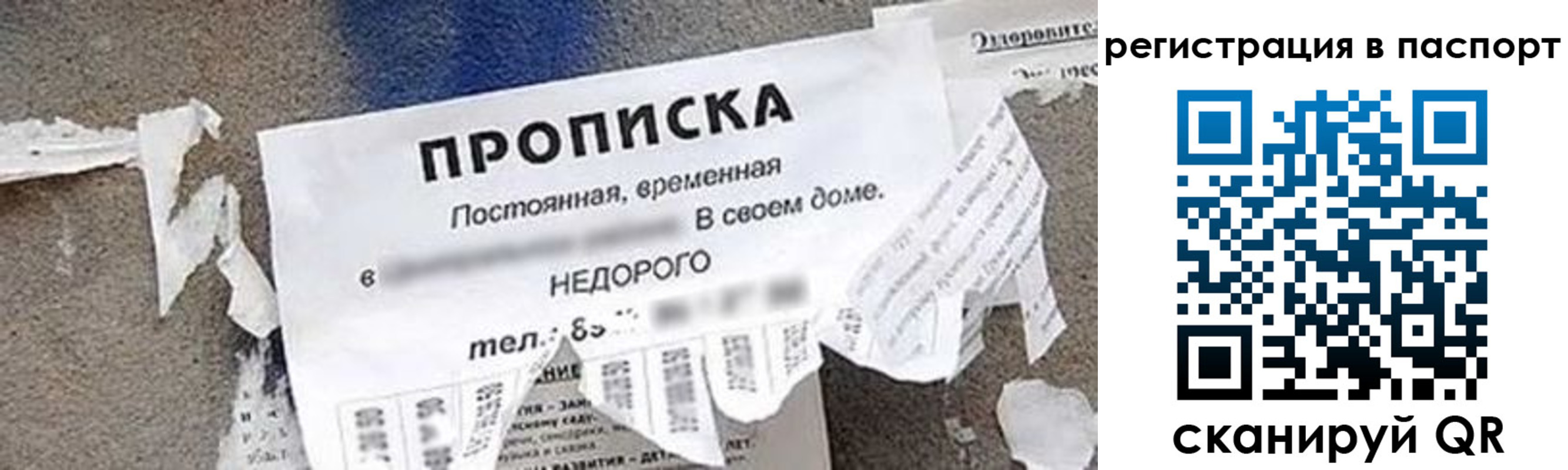 регистрация в Лесозаводске